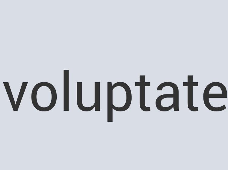 Aerodynamic Paper Comveyer