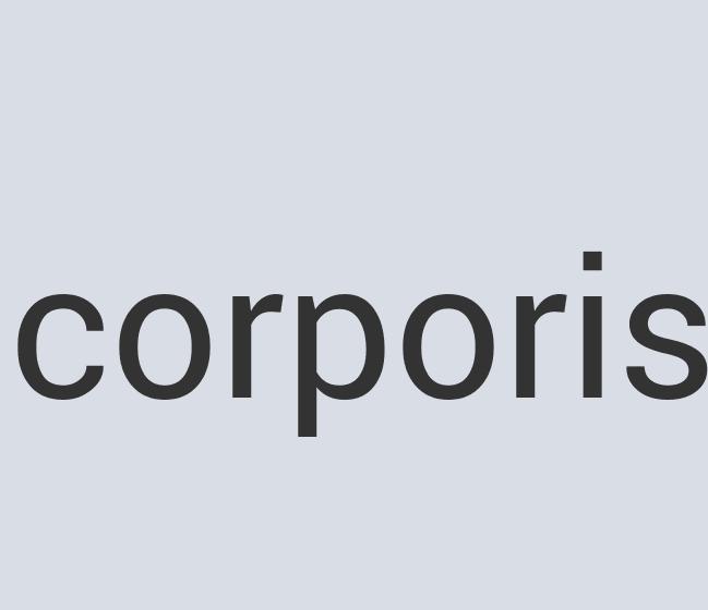 Lightweight Leather Quencha