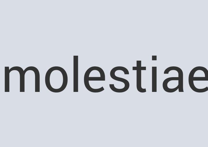 Awesome Wool InfoDrill