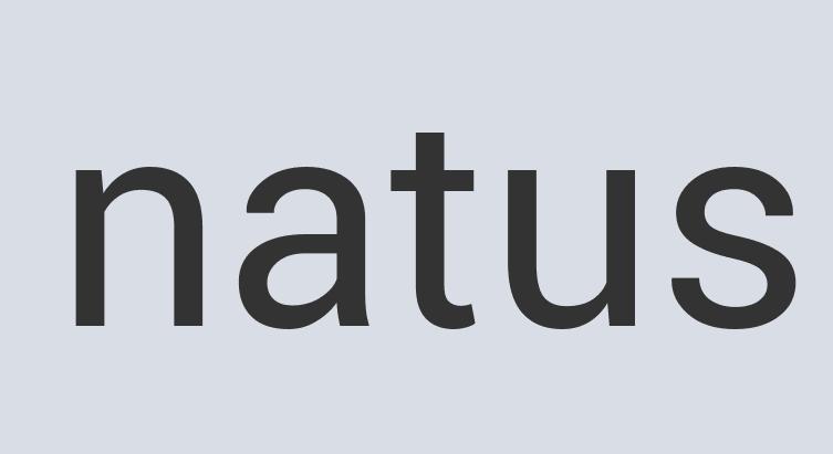 Aerodynamic Bronze Viagrand