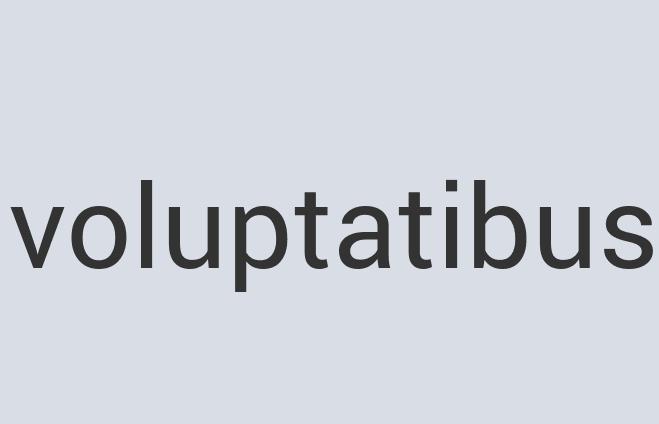 Intelligent Iron Comsomme