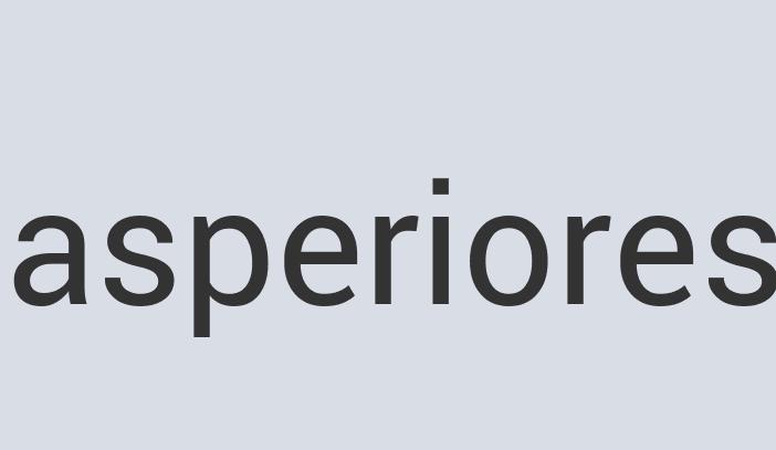 Durable Copper A Brisket a Tasket